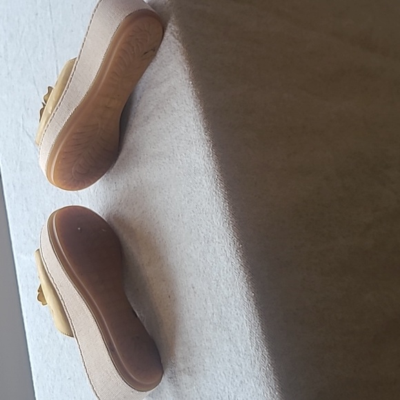 Born mustard slides - Picture 4 of 5